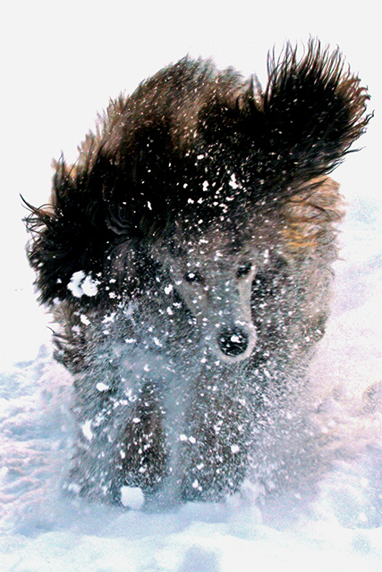 Gilda in the Snow